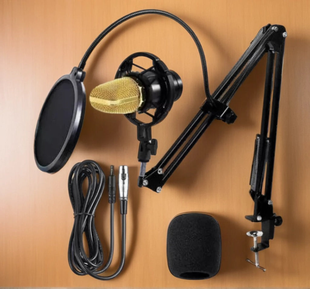 Micrófono AudioFlex Pro